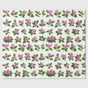 Papier Cadeau Ensemble botanique de fleurs de pervenche rose Sad