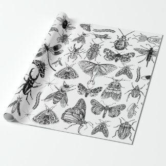 Papier Cadeau Entomologie Papier Bugs Insectes Enveloppement Cad