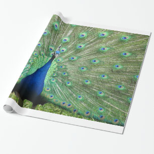 Papier Cadeau Enveloppe cadeau - Peacock