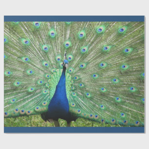 Papier Cadeau Enveloppe cadeau - Peacock (v.2)