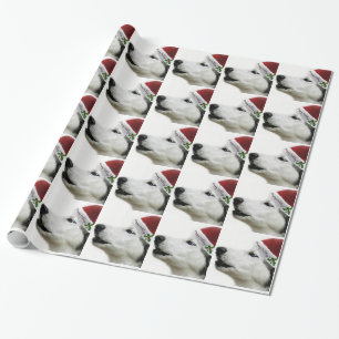 Papier Cadeau Enveloppe de cadeau de chien de traîneau sibérien