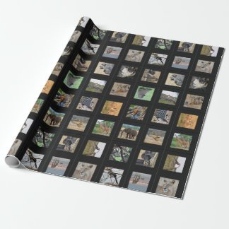 Papier Cadeau Enveloppe de cadeau de photo d'animal sauvage