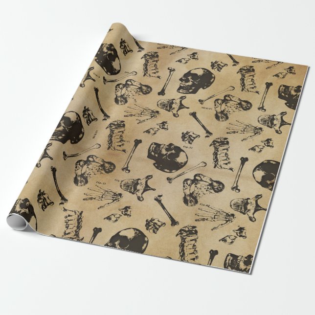 Papier Cadeau Enveloppe de cadeaux Médicale pour l'anatomie osse (Déroulé)