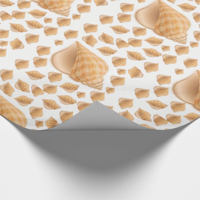 Papier Cadeau Envelopper les coquillages en papier (Coin)