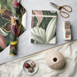 Papier Cadeau Ernst Haeckel Art Imprimer : Orchidae Oncidiums, t