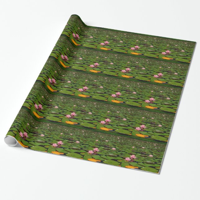 Papier Cadeau Etang de fleurs de lys d'eau rose (Déroulé)