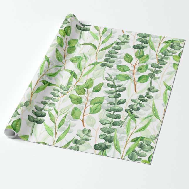 Papier Cadeau Eucalyptus (Déroulé)
