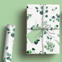 Eucalyptus Vert Clair Décoration Rustique Aquarell