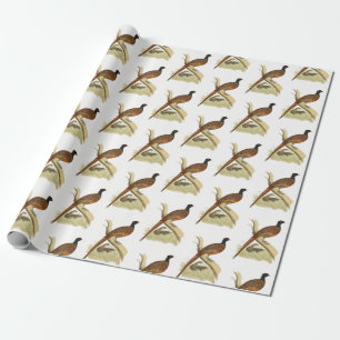 Papier Cadeau Faisan vintage sur branche Dessin de gibier couleu