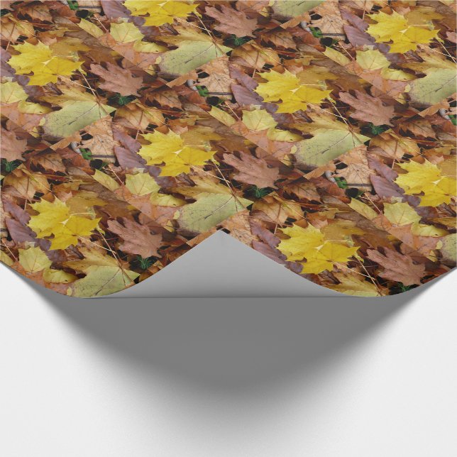 Papier Cadeau Fallen Maple Feuille Jaune Automne Nature (Coin)