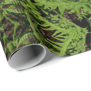 Papier Cadeau Fermes du plancher forestier