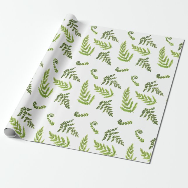 Papier Cadeau Ferns (Déroulé)