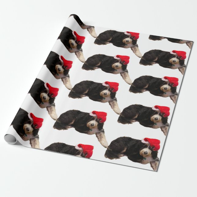 Papier Cadeau Festive et mignon bernedoodle portant un chapeau d (Déroulé)