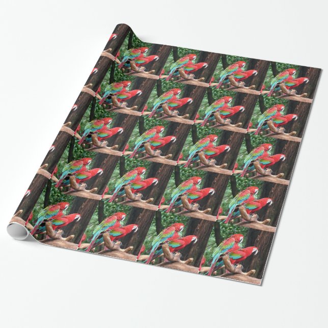 Papier Cadeau Fête des perroquets colorés Noël (Déroulé)