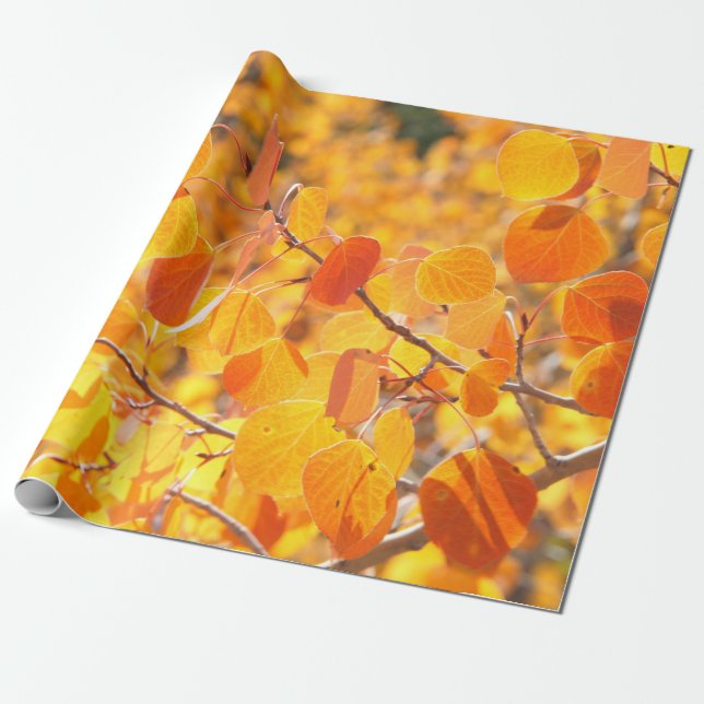 Papier Cadeau Feuille d'Aspen d'automne (Déroulé)