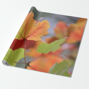 Papier Cadeau Feuille d'automne