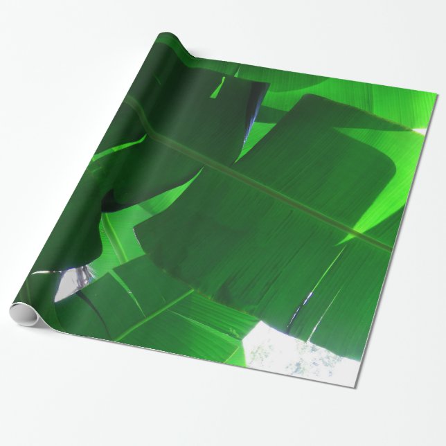 Papier Cadeau Feuille de banane (Déroulé)