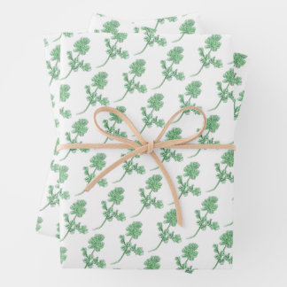 Papier Cadeau Feuille de céleri