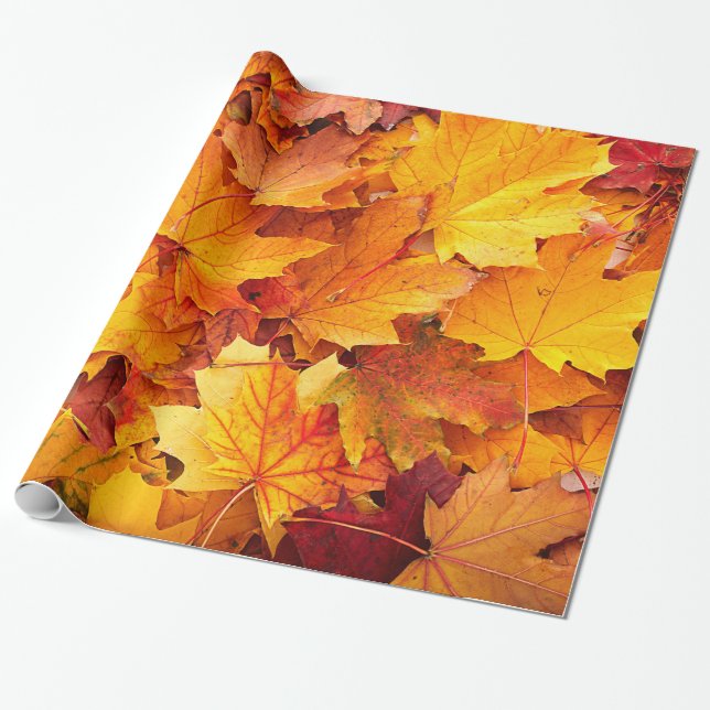 Papier Cadeau Feuille d'or d'érable d'automne (Déroulé)