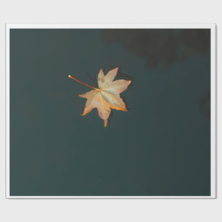 Papier Cadeau Feuille dorée flottant sur de l'eau sombre