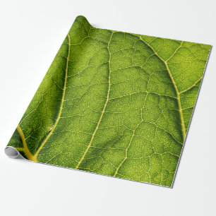 Papier Cadeau Feuille verte
