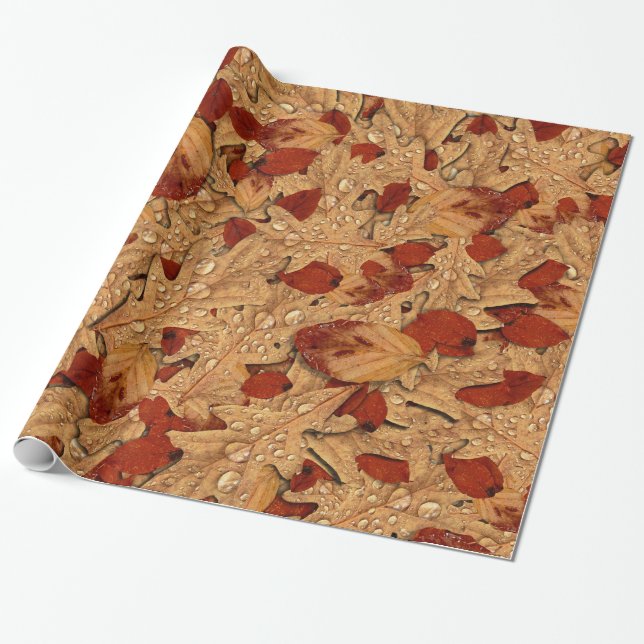 Papier Cadeau Feuilles d'automne humides (Déroulé)