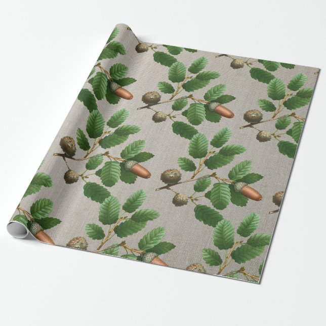 Papier Cadeau Feuilles de chêne Acorn (Déroulé)