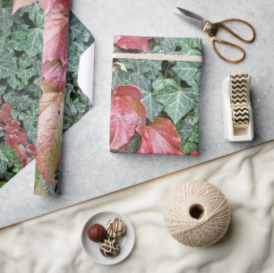 Papier Cadeau Feuilles de lierre vert rouge automne saison
