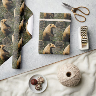 Papier Cadeau Fière Ours