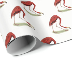 Papier Cadeau Flamant rose rose vintage #1