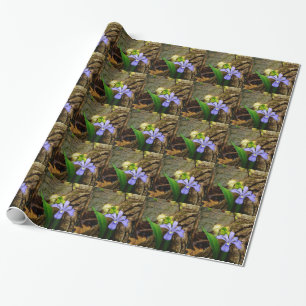 Papier Cadeau Fleur blanche pourpre bleu Iris
