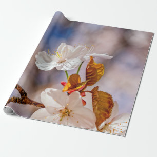 Papier Cadeau Fleur Blanche Sakura Et Feuilles Oranges