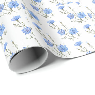 Papier Cadeau Fleur chicorée sauvage Aquarelle botanique Art