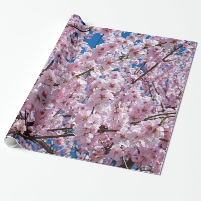 Papier Cadeau Fleur de cerisiers (Déroulé)