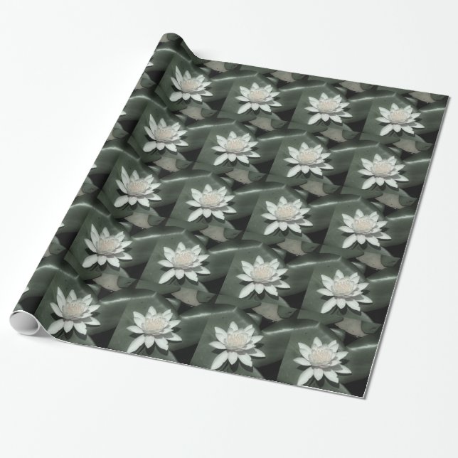 Papier Cadeau fleur de laine d'eau rose clair (Déroulé)