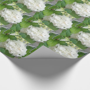Papier Cadeau Fleur d'Hortensia Vert Blanc Nature Plantes de Jar