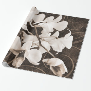 Papier Cadeau Fleur d'orchidée blanche Séphia Fleur de Arrière -