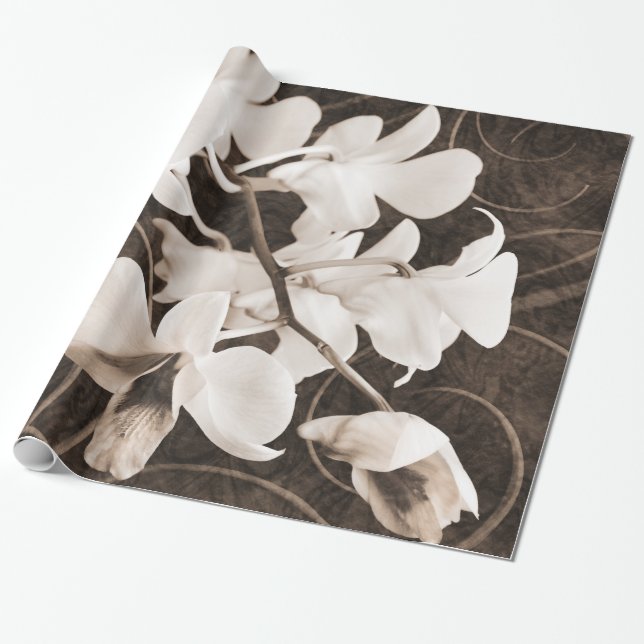 Papier Cadeau Fleur d'orchidée blanche Séphia Fleur de Arrière - (Déroulé)