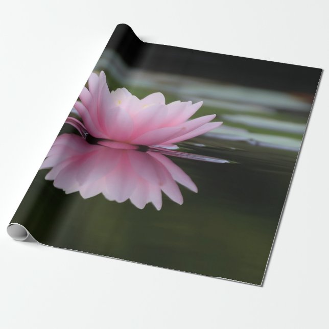 Papier Cadeau Fleur Lotus, Zen (Déroulé)