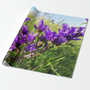 Papier Cadeau Fleur pourpre élégante sauvage
