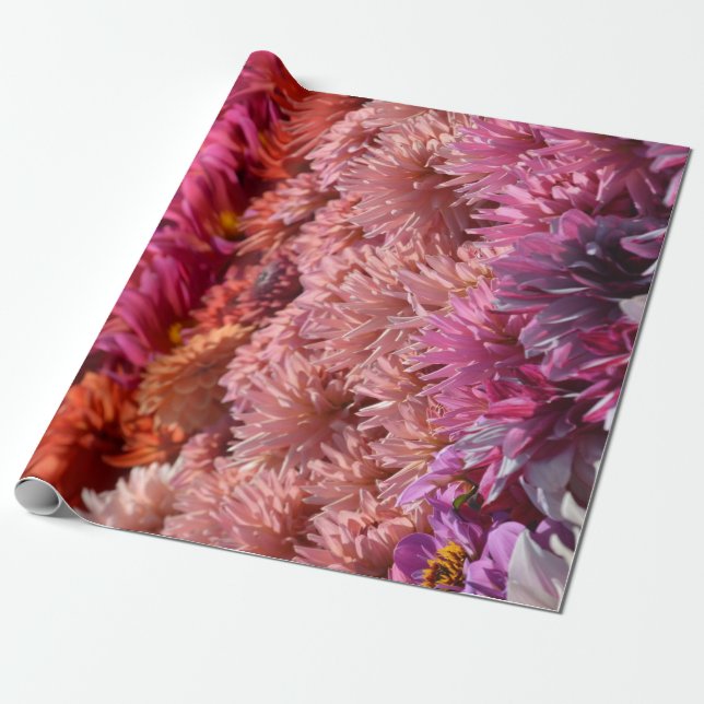 Papier Cadeau Fleur pourpre orange moderne de dahlia de rose (Déroulé)