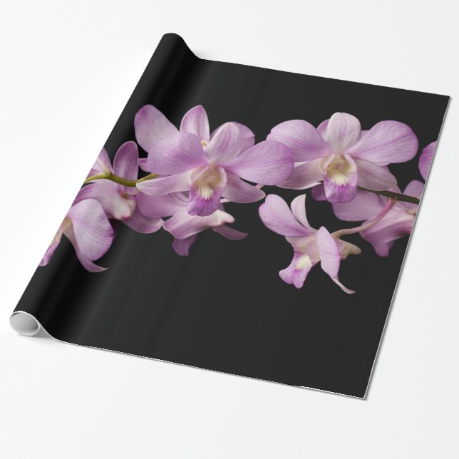 Papier Cadeau Fleur rose d'orchidée de Dendrobium - orchidées (Déroulé)