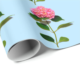 Papier Cadeau Fleur rose rose rose Hydrangea