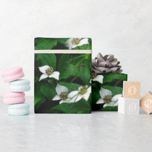 Papier Cadeau Fleur sauvage Bunchberry Design