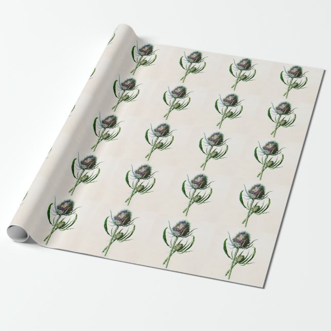 Papier Cadeau Fleur sauvage de vieux chardon écossais du cru (Déroulé)