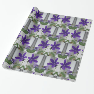 Papier Cadeau Fleur violette