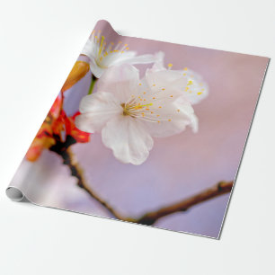 Papier Cadeau Fleurs de cerises blanches fraîches mignonnes Saku
