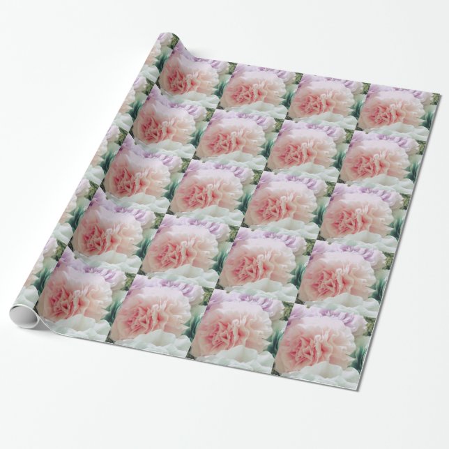 Papier Cadeau Fleurs de filtre à café souple (Déroulé)