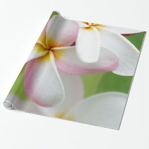 Papier Cadeau Fleurs de Hawaïen de fleur d'Hawaï de Frangipani