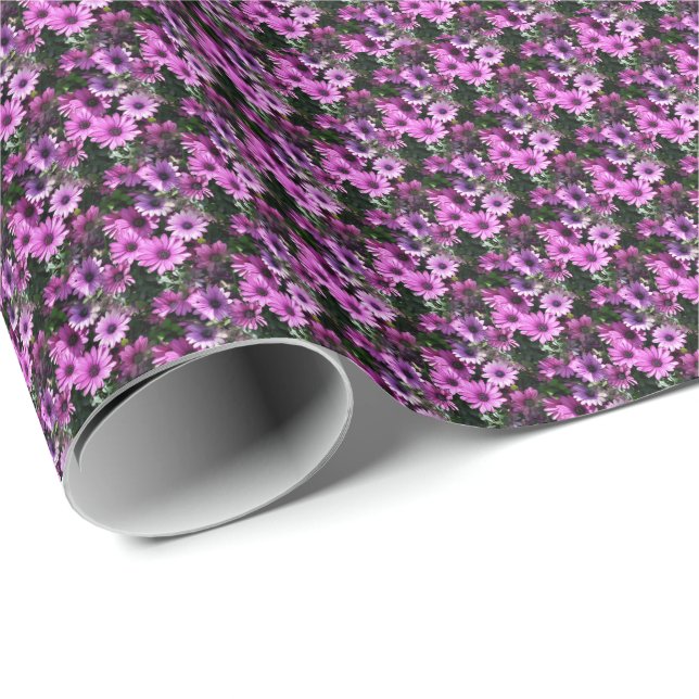 Papier Cadeau Fleurs de marguerite africaine violet Motif de la  (Coin rond)